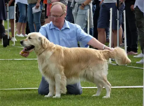 Golden Retriever  Chiot N°7 De La Source Du Riet Veld cb84c photo 2