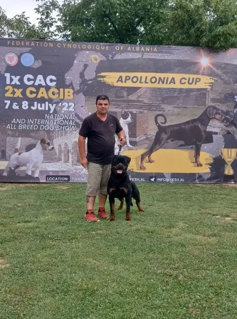 Rottweiler  Chiot 1 Von Haus Ferapie