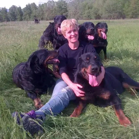 Chiots Beaucerons Gros Gabaris