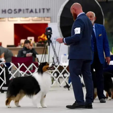 Berger Australien  Chiot 1 De L'Aussie Happy photo 2