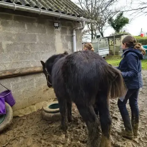 Entier 2 Ans Irich Cob