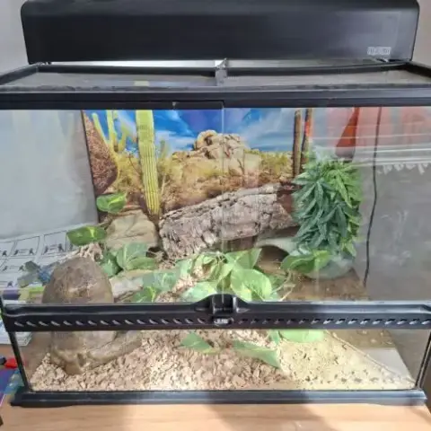 Terrarium Complet