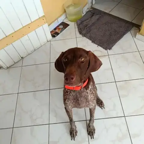 Kiara, Je Voudrais Une Famille À Moi
