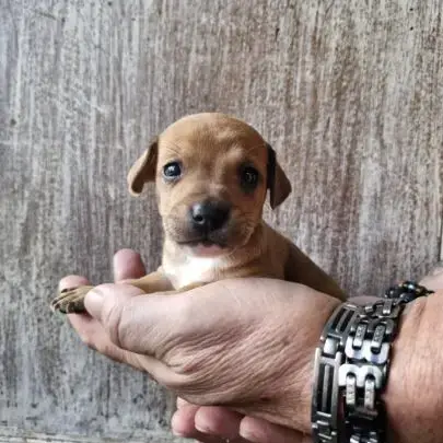 A Réserver Bébés
