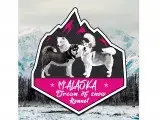 Portée Malamute De L'Alaska — M'Alaska Dream Of Snow