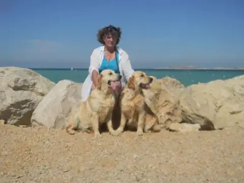 Portée Golden Retriever — De La Foret Des Pyramides photo 2