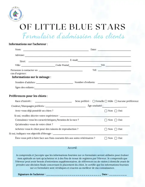 Berger Américain Miniature  Chiot N°1 Of Little Blue  d5bae