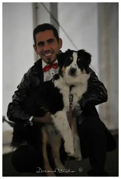 Berger Australien  Chiot N°2 De La Voie Domitienne