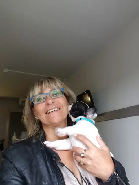 Bouledogue Français  Bergamotte Des Chemins Du Bout D d9881