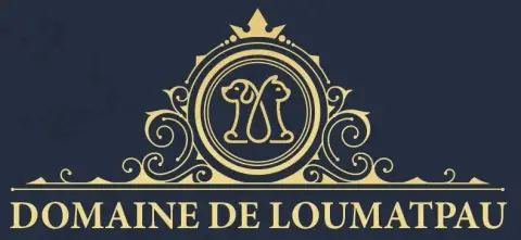 Setter Gordon  Chiot N°6 Du Domaine De Loumatpau