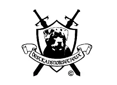 Rottweiler  Chiot 7 Des Titans Noirs Et Feux