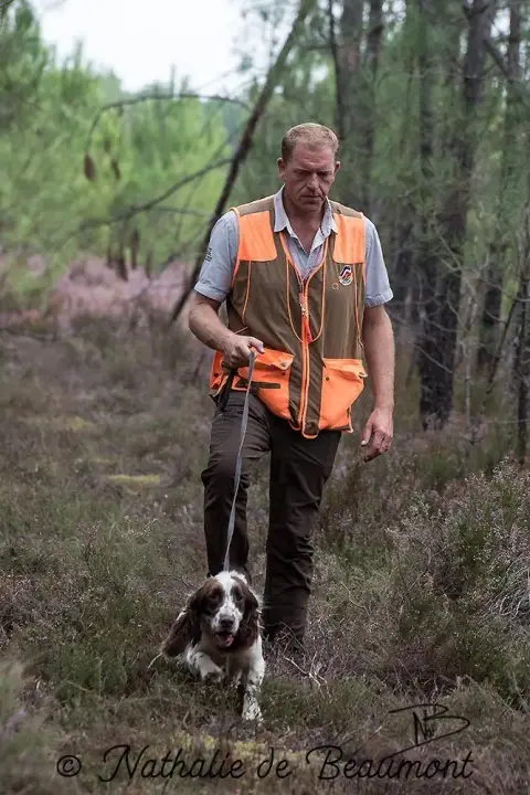 English Springer Spaniel  B............... Des Etangs 052ba