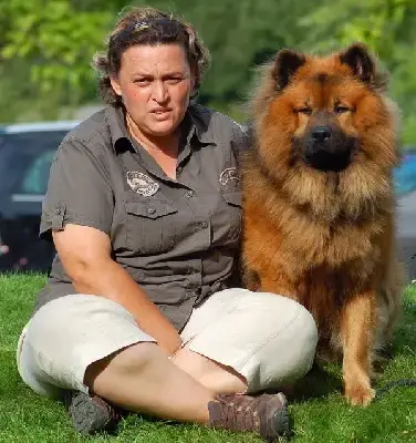 Eurasier  Chiot 4 Des Legendes De Retz