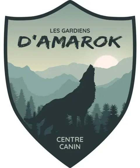 Eurasier  Monsieur 2 Des Gardiens D'Amarok