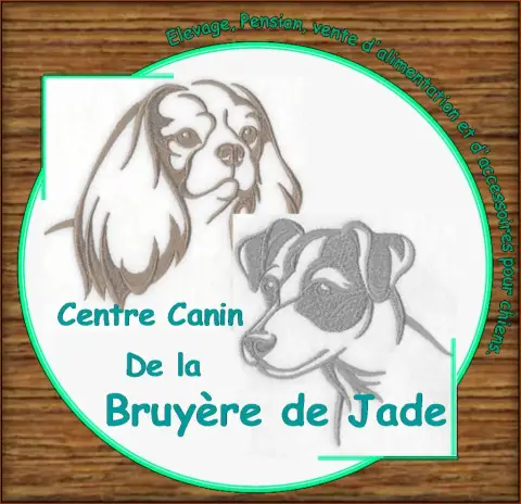 Jack Russell Terrier  Valkyrie De La Bruyère De Jade 29eb4 photo 2