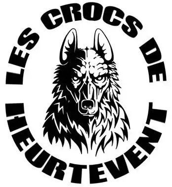 Berger Allemand  Chiot 1 Des Crocs De Heurtevent