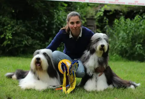 Bearded Collie