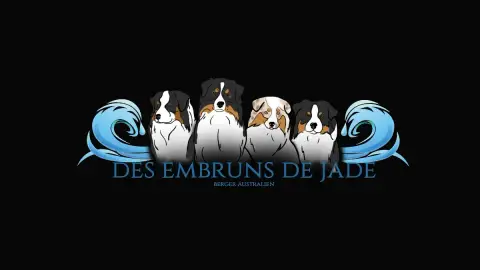 Berger Australien  Bali Des Embruns De Jade