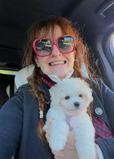 Bichon Frise  Bingo De La Felhotte