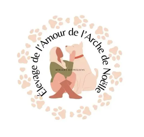 Berger Australien  Bianca De L'Amour De L'Arche De No 5ed0d