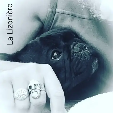 Bouledogue Français  Blaise Du Grand Canapé Royal