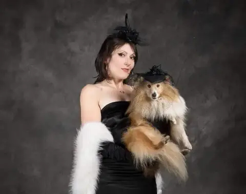 Portée Chien De Berger Des Shetland — Fanelsky
