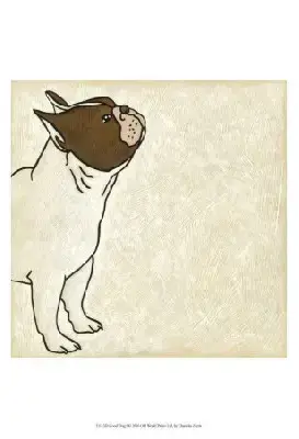 Bouledogue Français  Bruschetta De Castelfranco Venet 76a1f