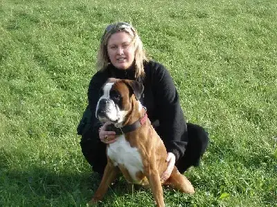 Boxer  Bob Des Fidèles Compagnons D'Uxen