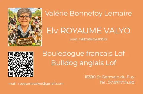 Bouledogue Français