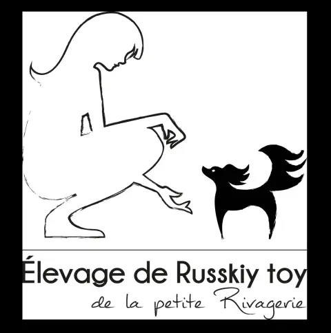 Russkiy Toy (Petit Chien Russe)  Femelle Marron Et Fe 943d1