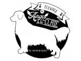 Portée Golden Retriever — Des Anges De La Claie