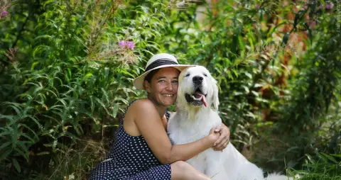 Portée Golden Retriever — Cheek To Cheek