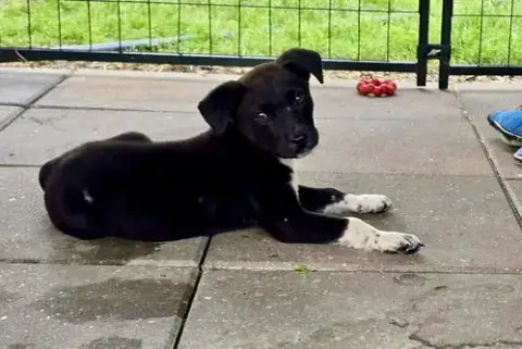 Sammy- Mr Personality
