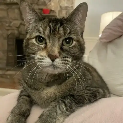 Bobbi