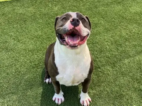 Zion
