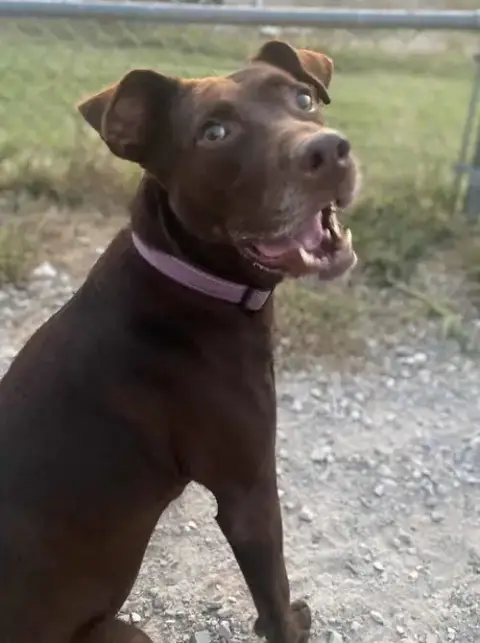 Stella Grace