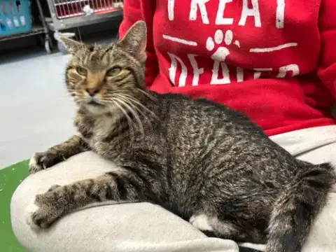 Rupert: Not At Shelter photo 2