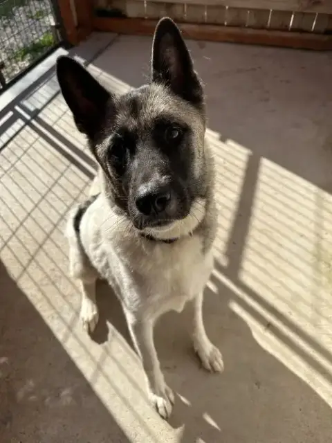 Kira photo 2