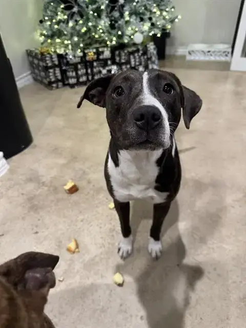 Luna