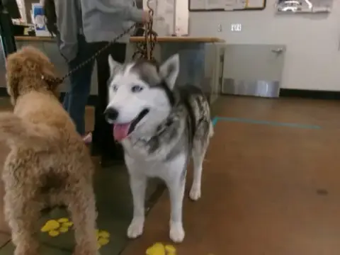 Yukon
