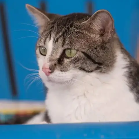Anthony photo 2