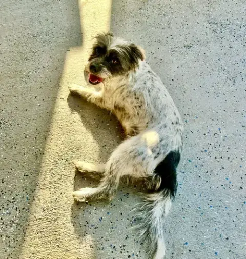 Missy photo 3