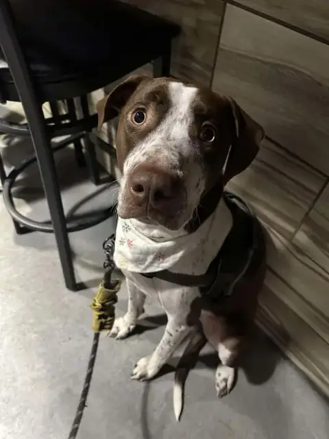Huxley photo 2