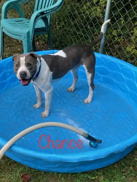 Chance photo 4