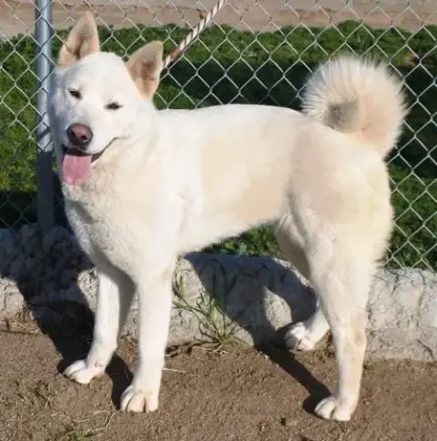 Luna photo 4