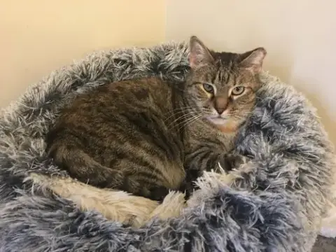 Ella photo 3