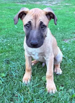 Buddy photo 3