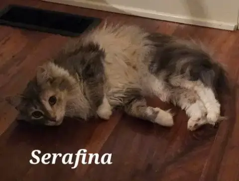Serafina photo 2