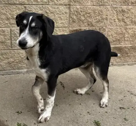 *Max