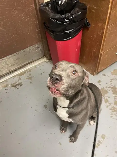 Benny